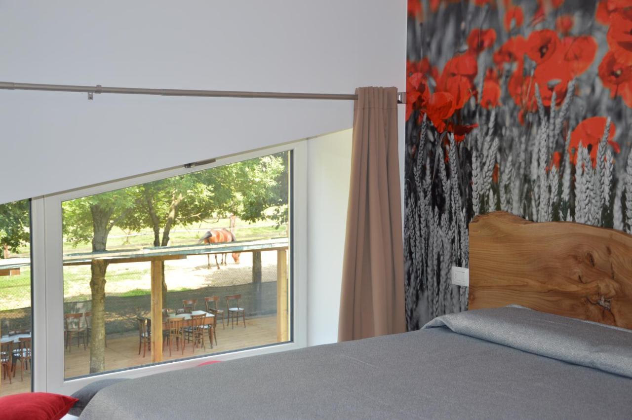 Agriturismo Castolda 崔威里奥 外观 照片